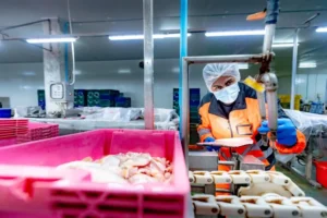 Técnico com EPI a inspecionar linha de produção em fábrica de pescado — gestão de subcontratados na indústria alimentar